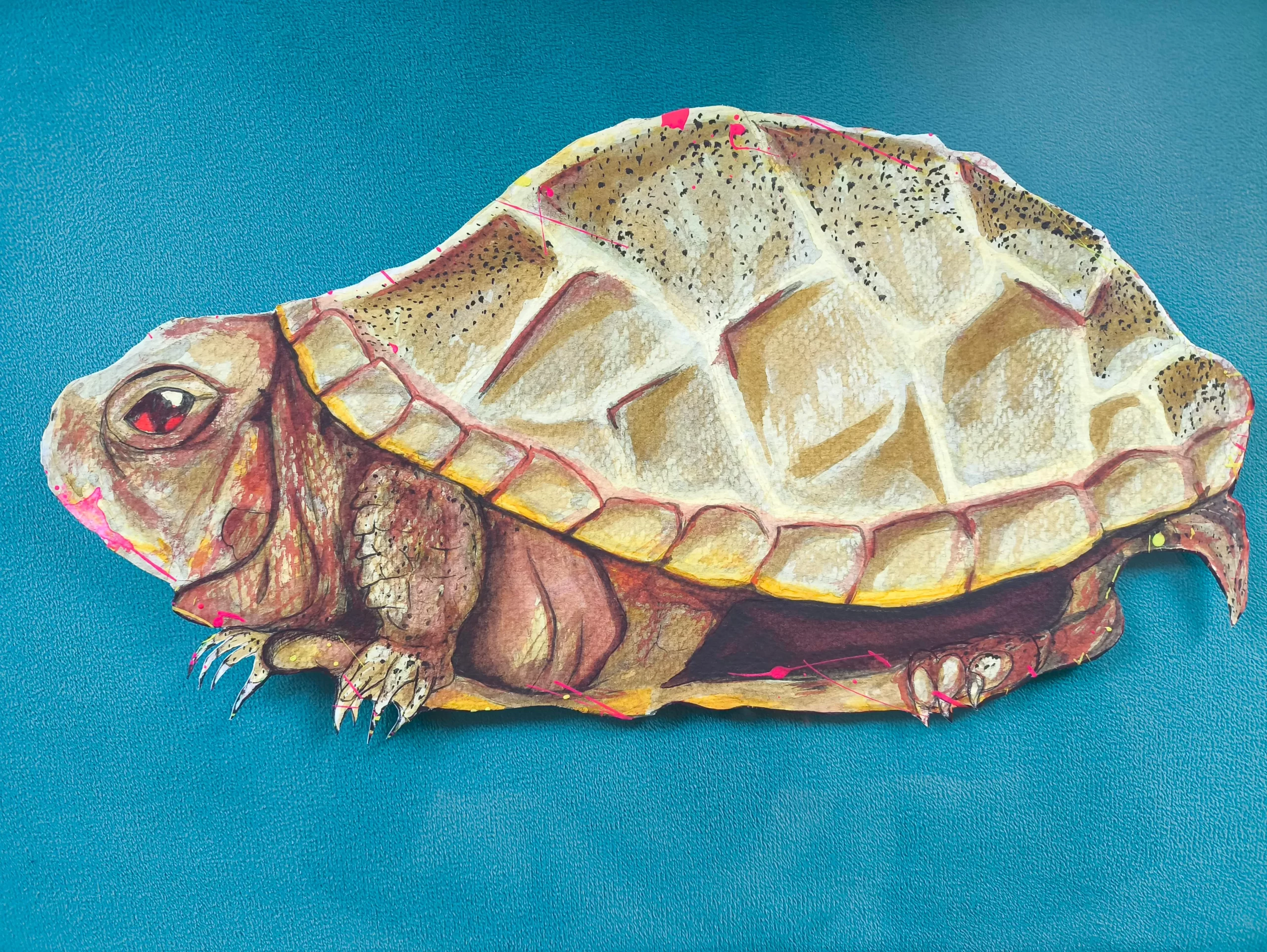TORTUGA