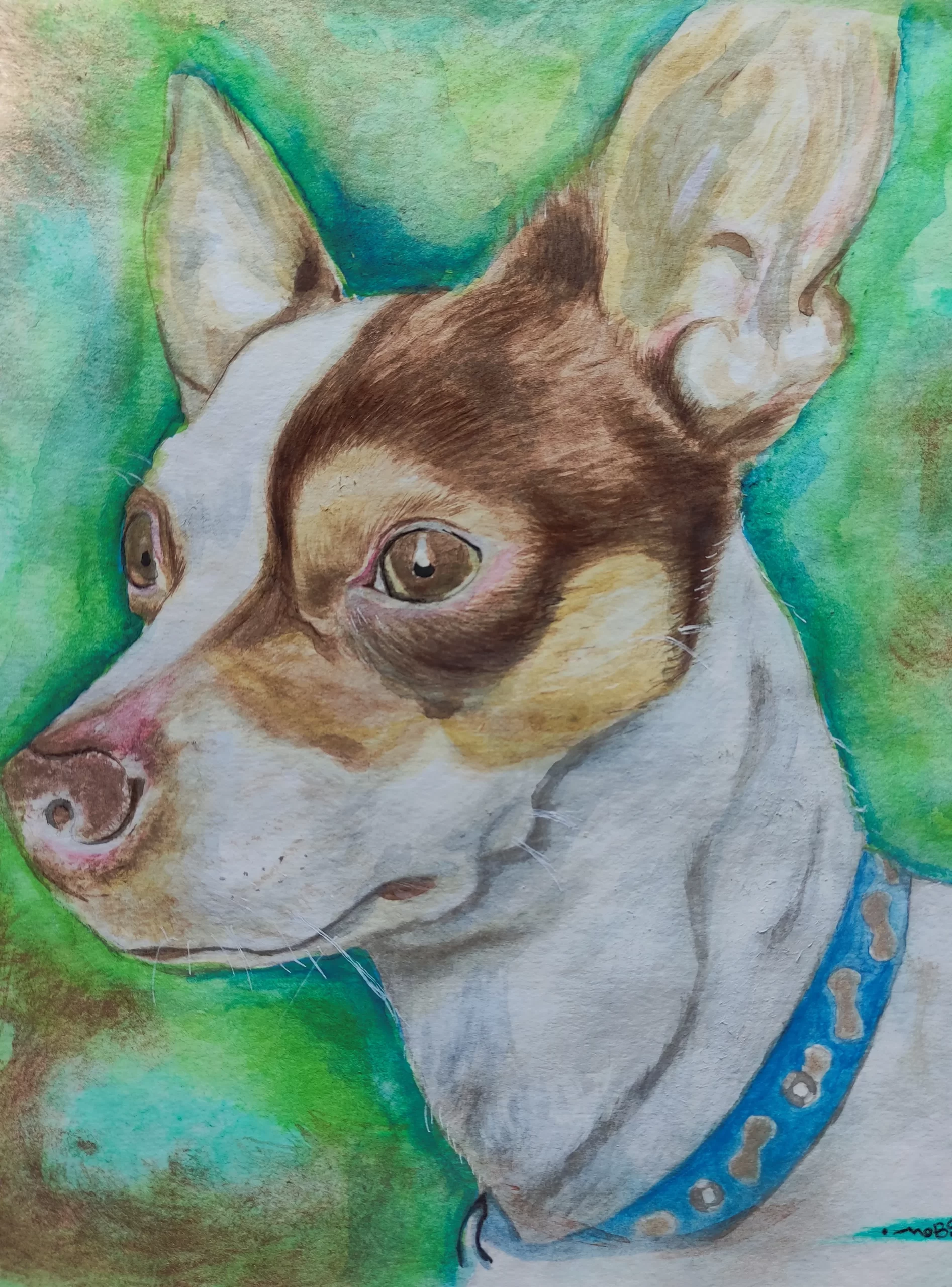 WOODY (TERRIER) - Imagen 2